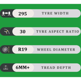 295/30/19 6MM+